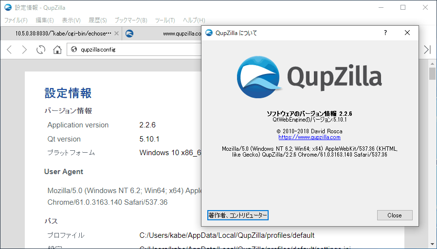 [QupZilla 2.2.6 screenshot]