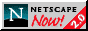 [Netscape Now!/2.0]